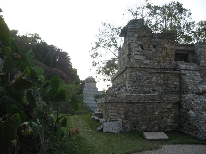 palenque268.jpg