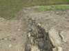 tonin124_small.jpg