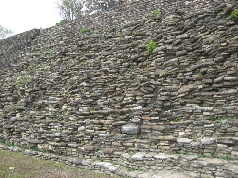 tonin147.jpg