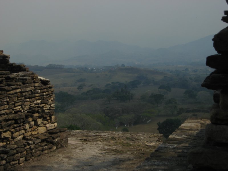 tonin205.jpg