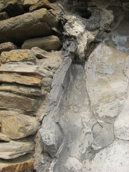 tonin219.jpg