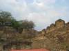 tonin285_small.jpg