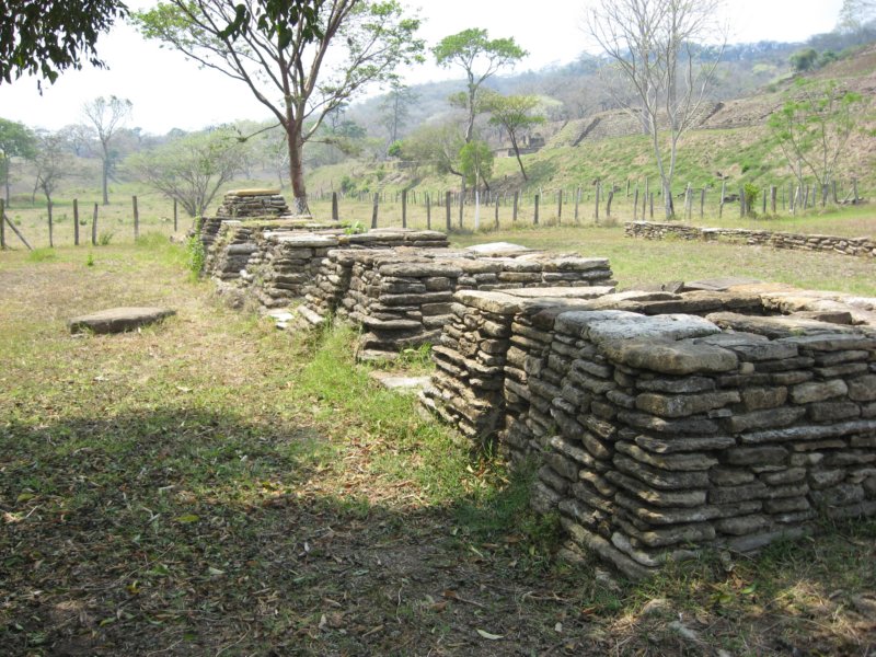 tonin39.jpg